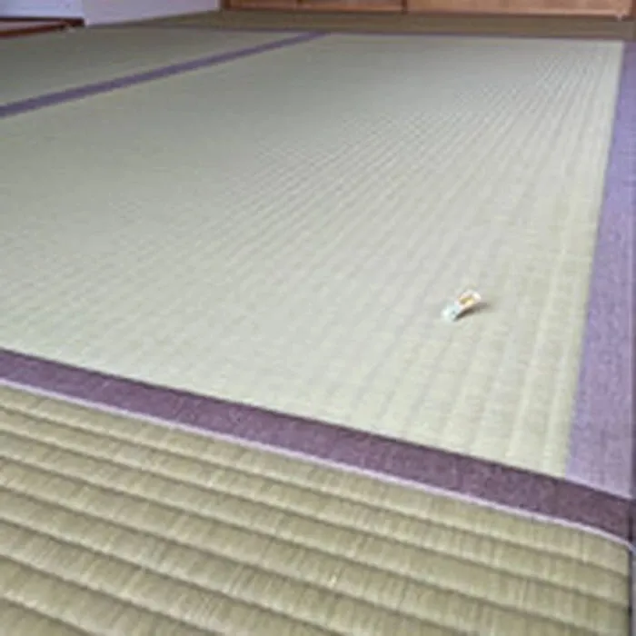 畳(新畳・表替え/匠)・クロス・網戸
