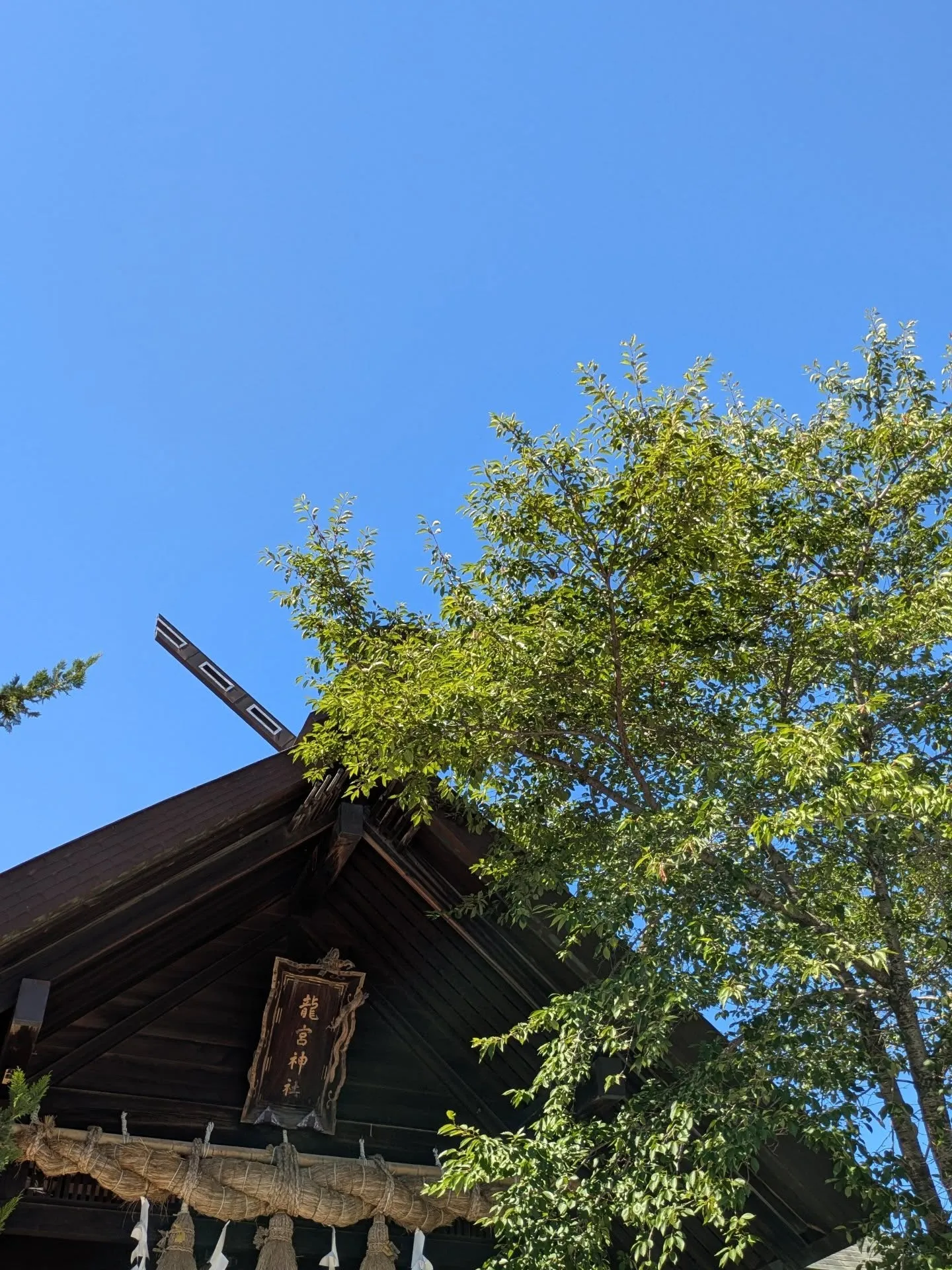 龍宮神社　参拝