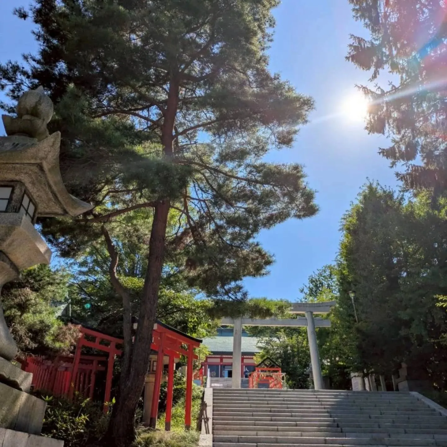 住吉神社　参拝