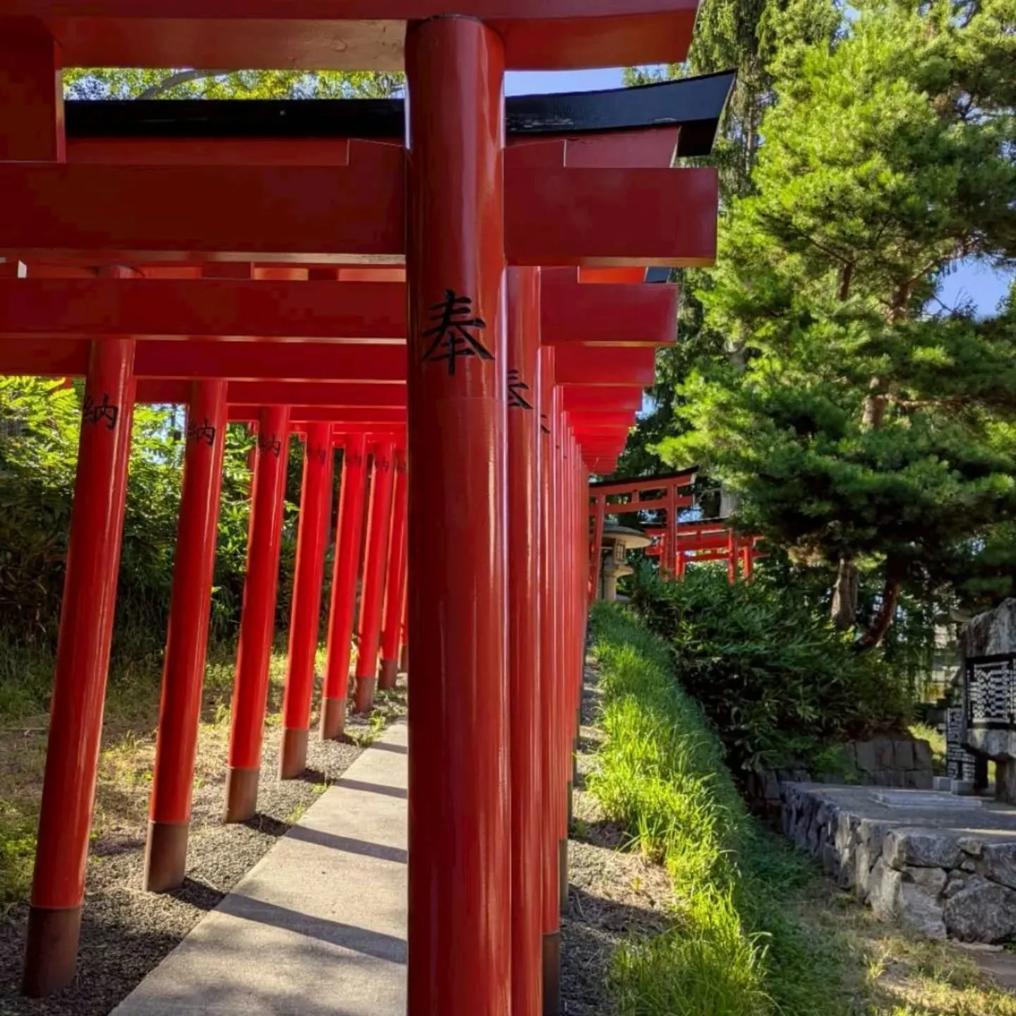 住吉神社　参拝