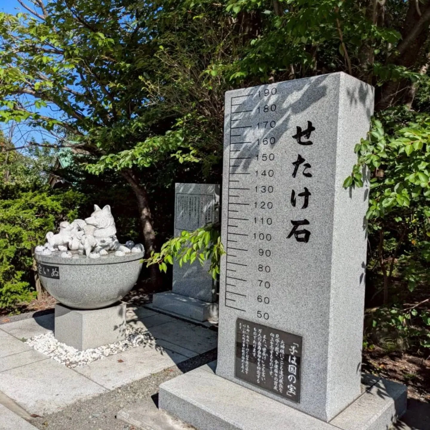 住吉神社　参拝