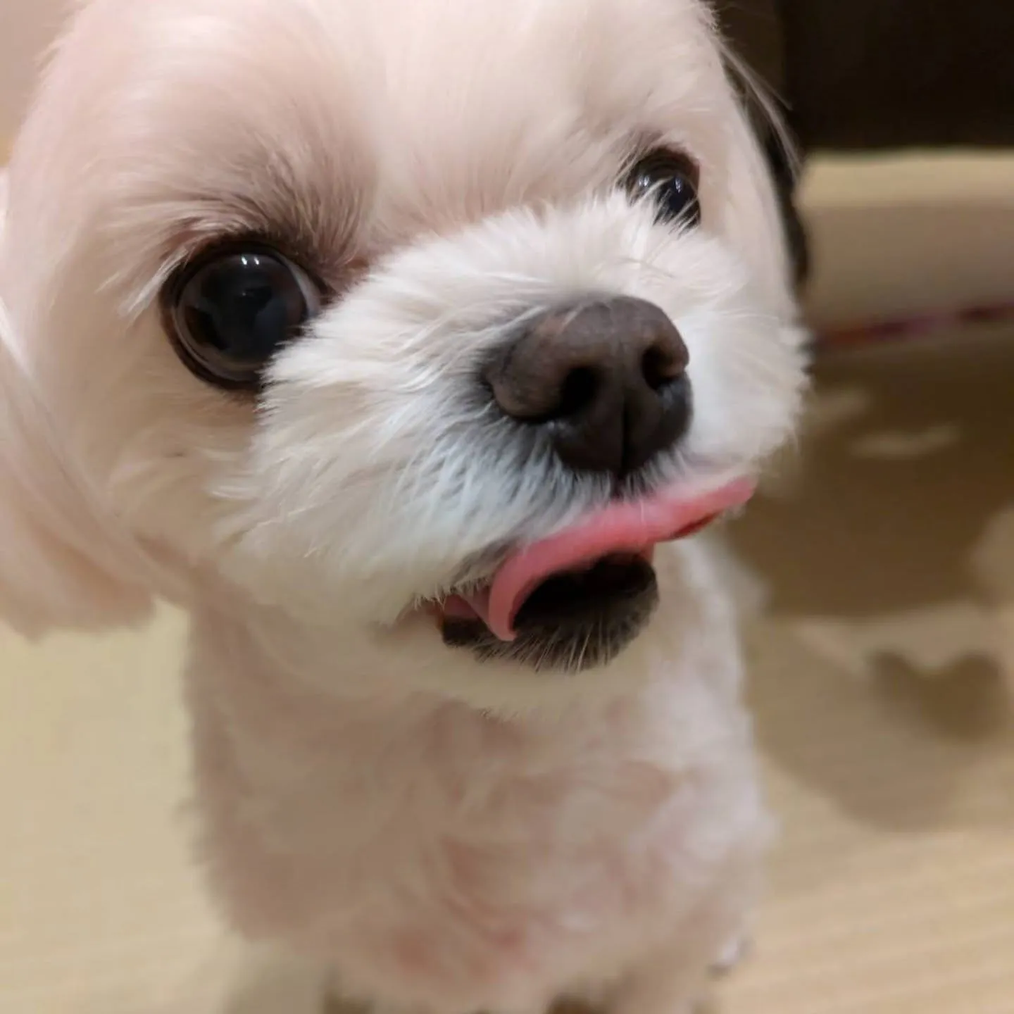 🍂秋分の日🍂