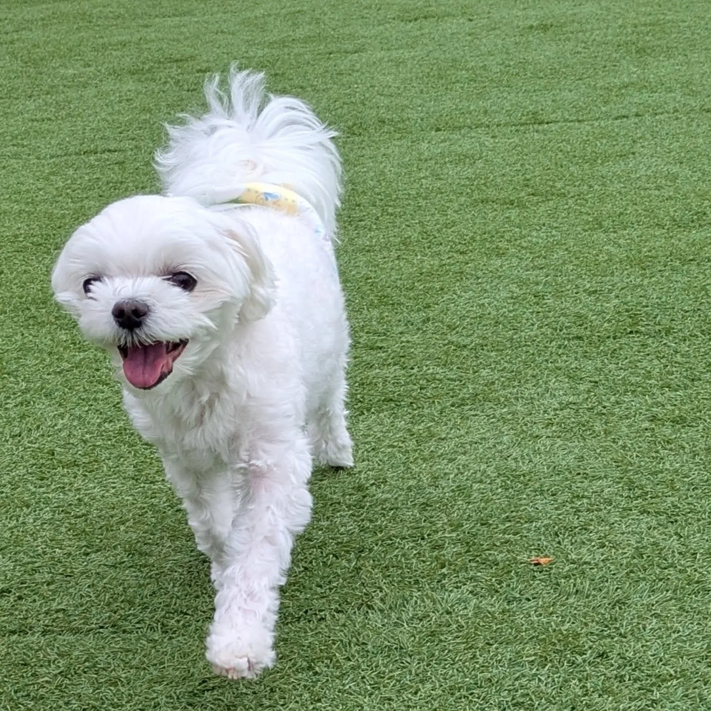 おはようございます☀