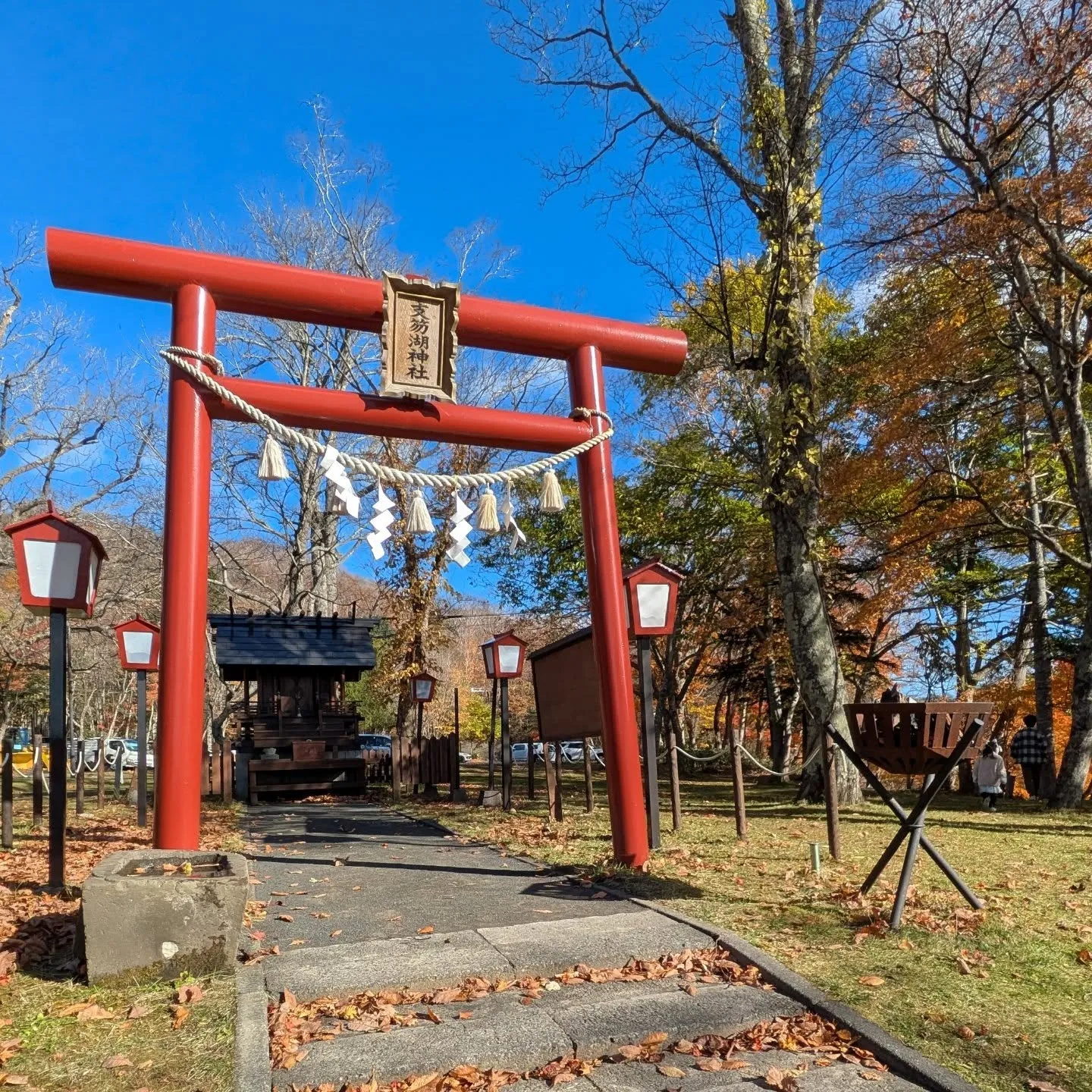 かなり遅めの紅葉ドライブ🍁