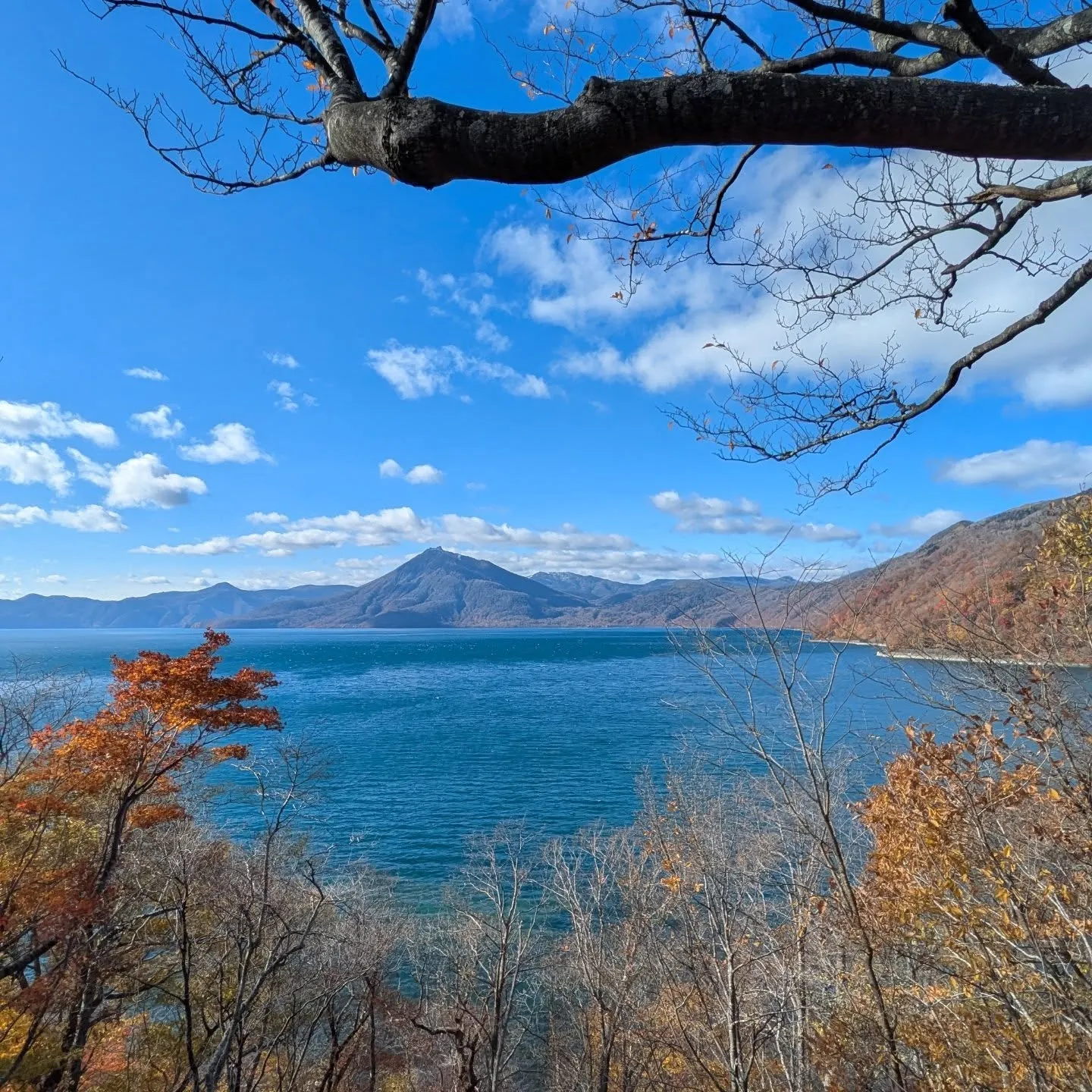 かなり遅めの紅葉ドライブ🍁