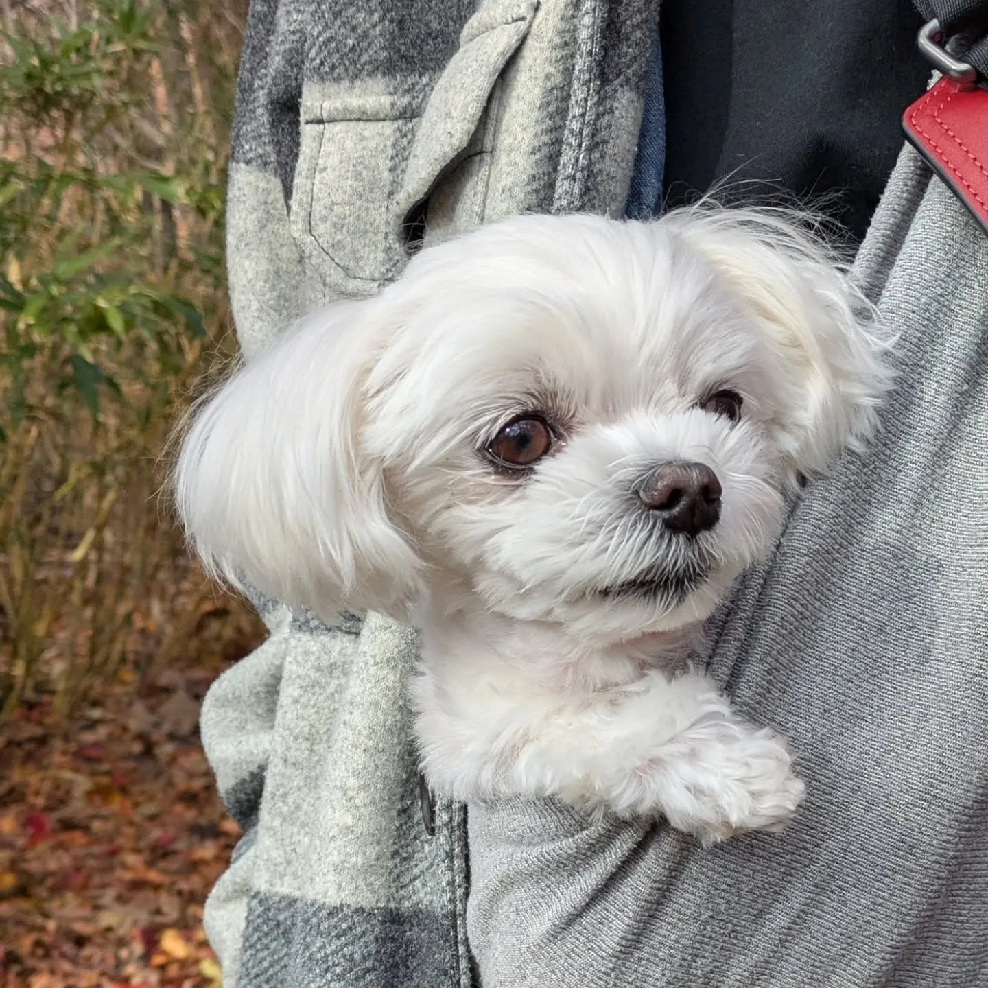 かなり遅めの紅葉ドライブ🍁