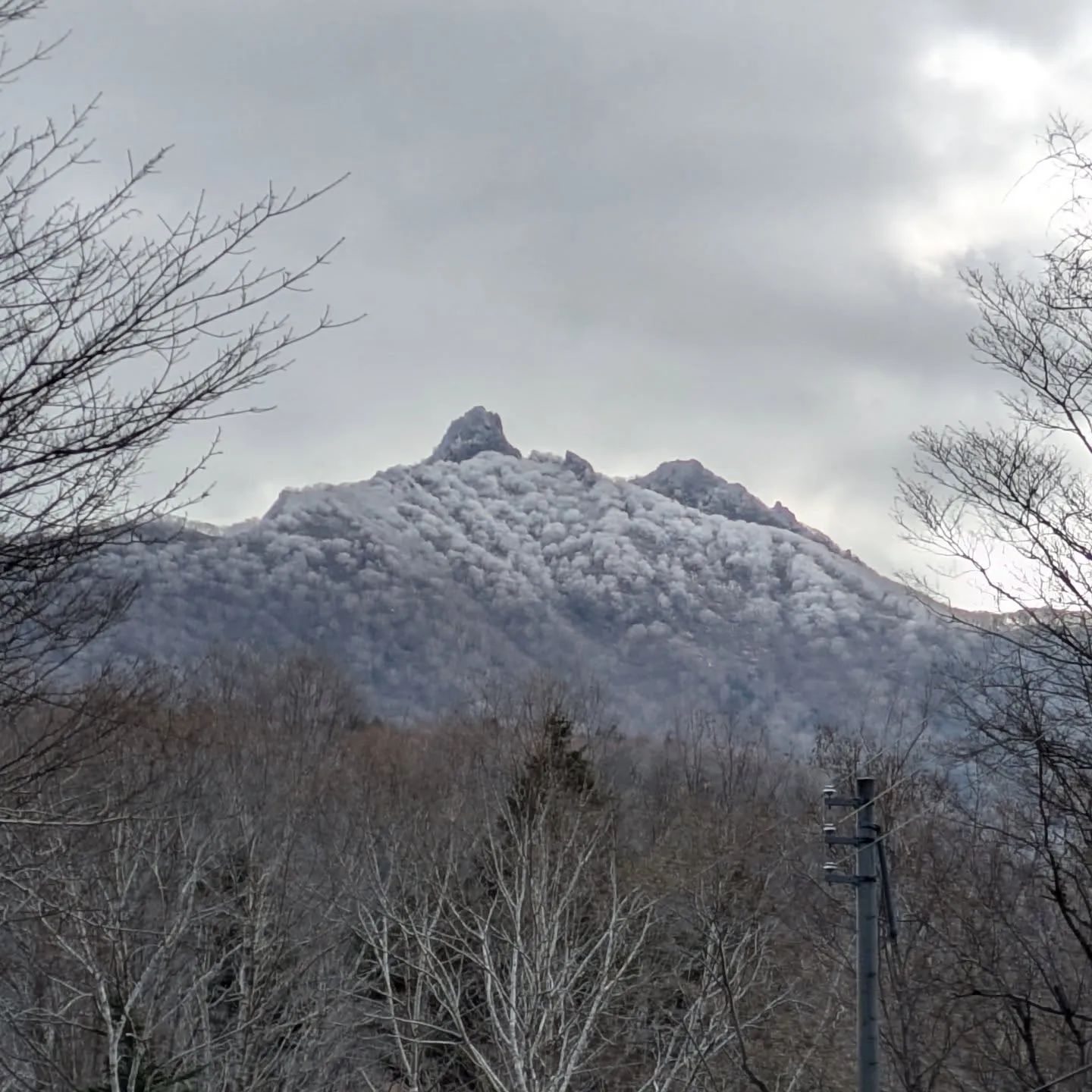 かなり遅めの紅葉ドライブ🍁