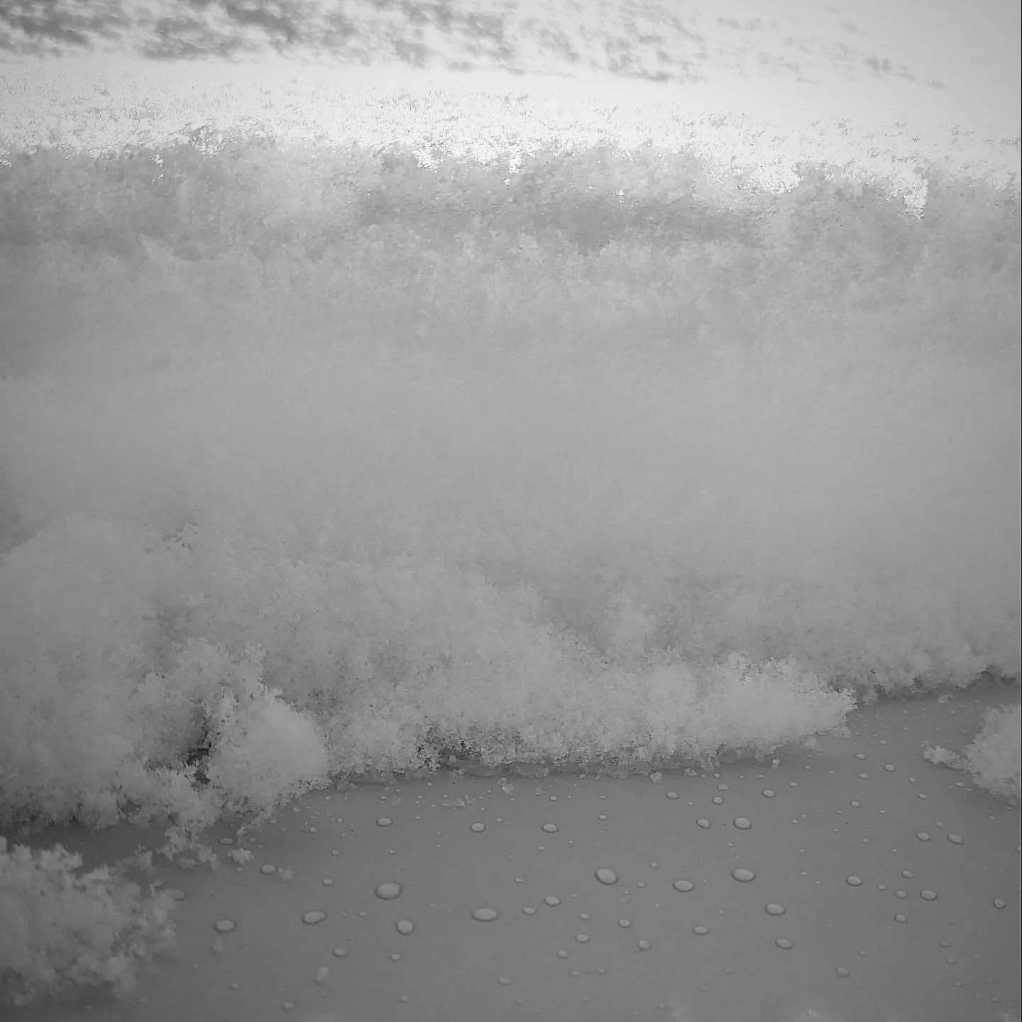 朝起きたらこんもりと雪積もってて驚きましたが