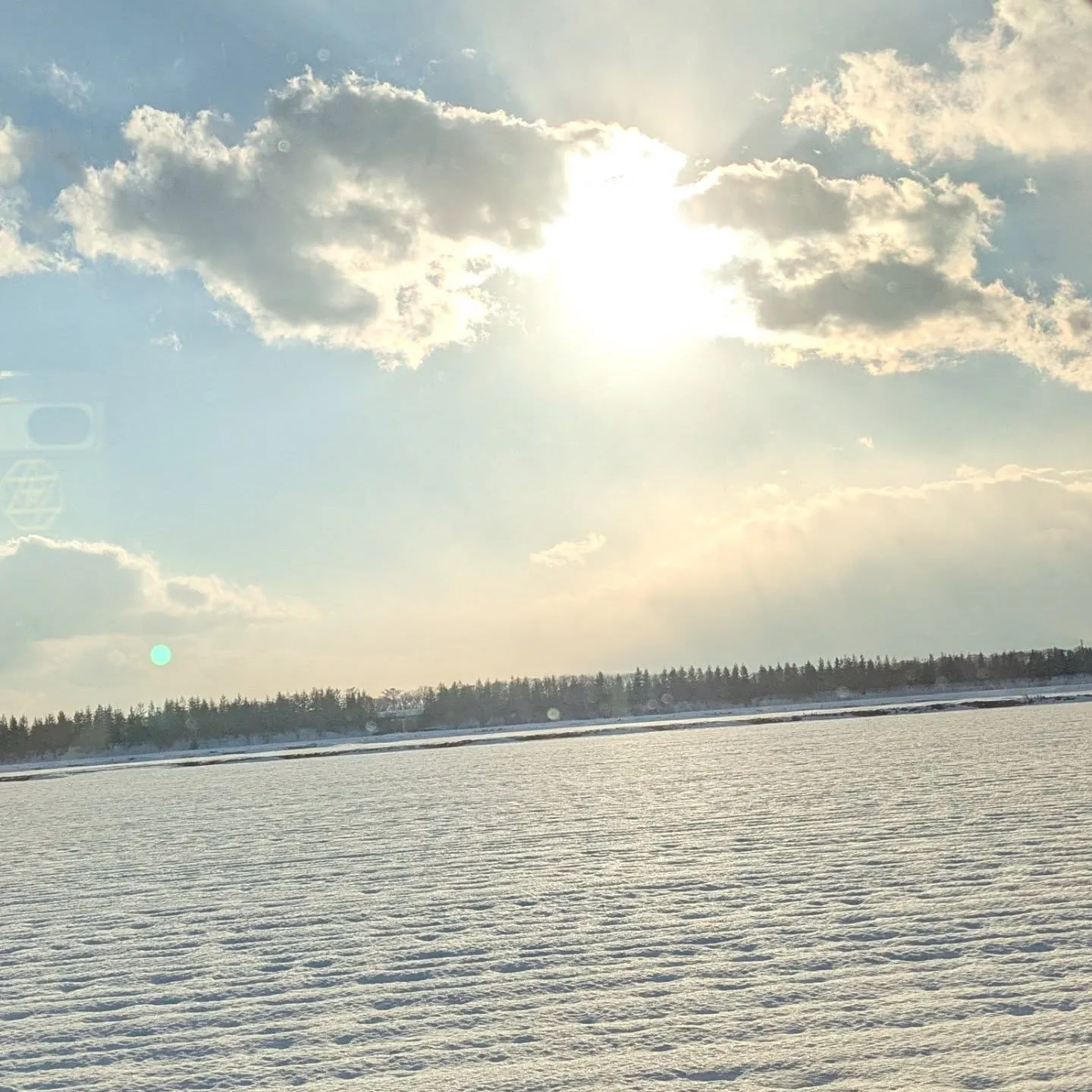 昨夜の猛吹雪がうそのように