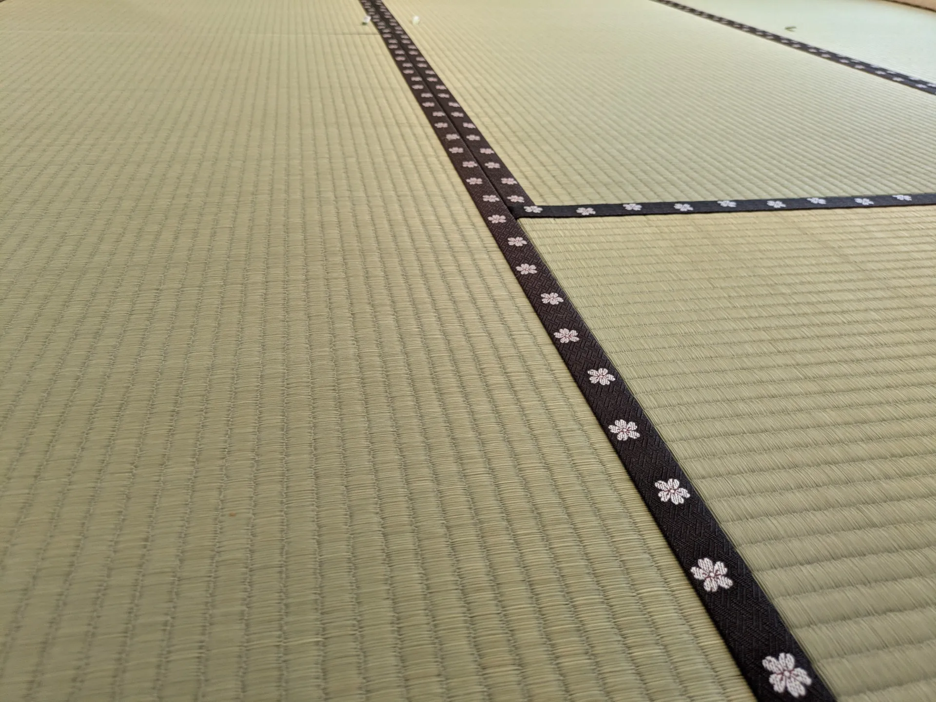 札幌市中央区マンション