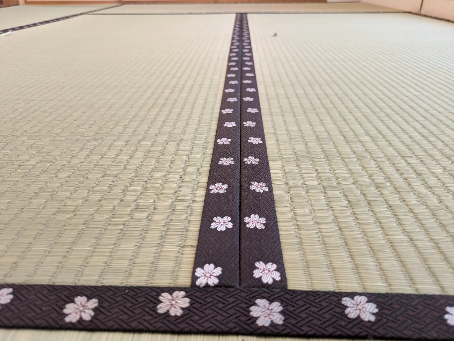 札幌市中央区マンション