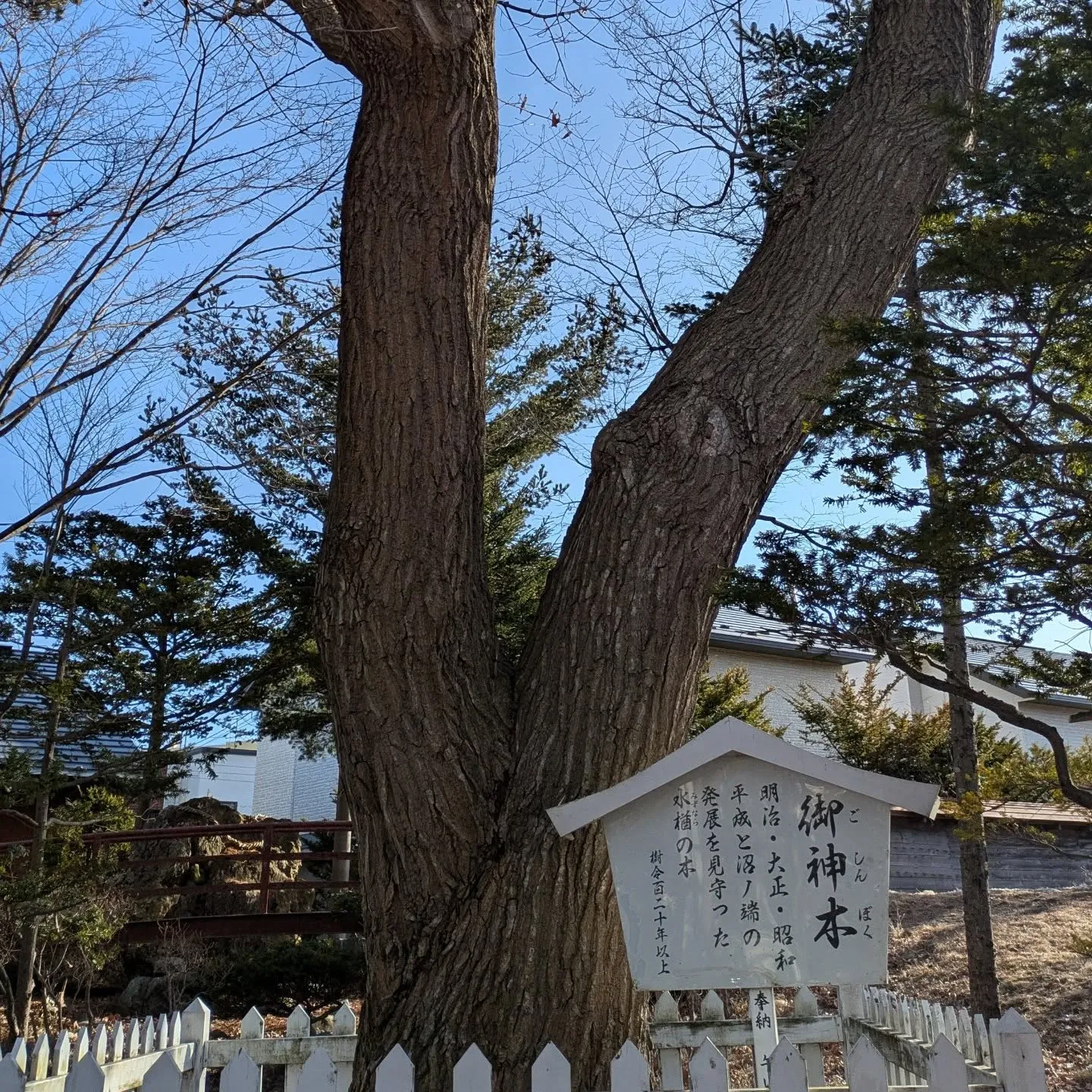 沼ノ端神社⛩️参拝