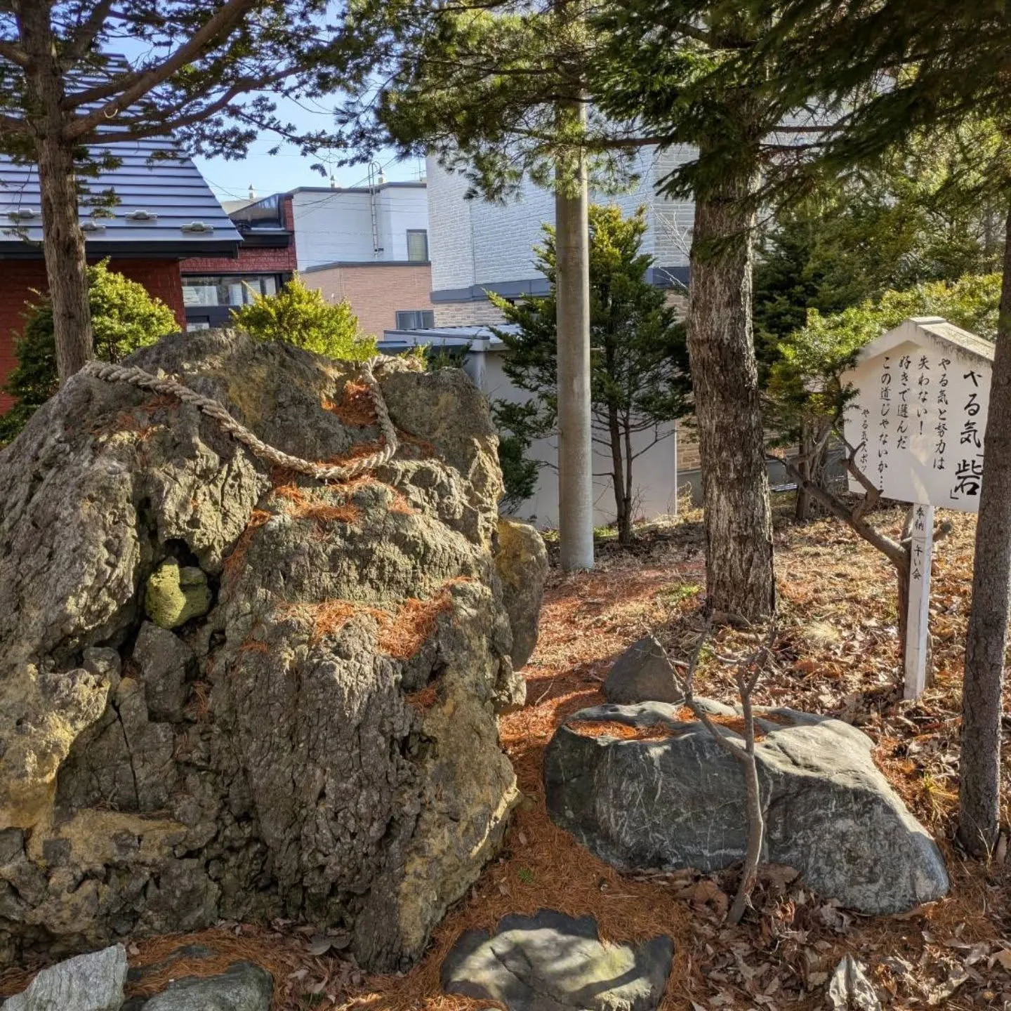 沼ノ端神社⛩️参拝