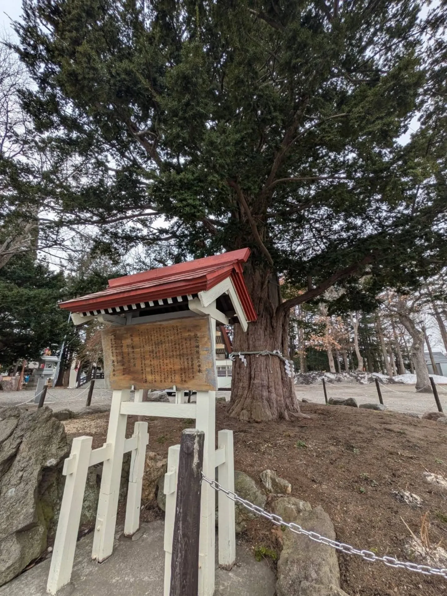 豊栄神社⛩️参拝