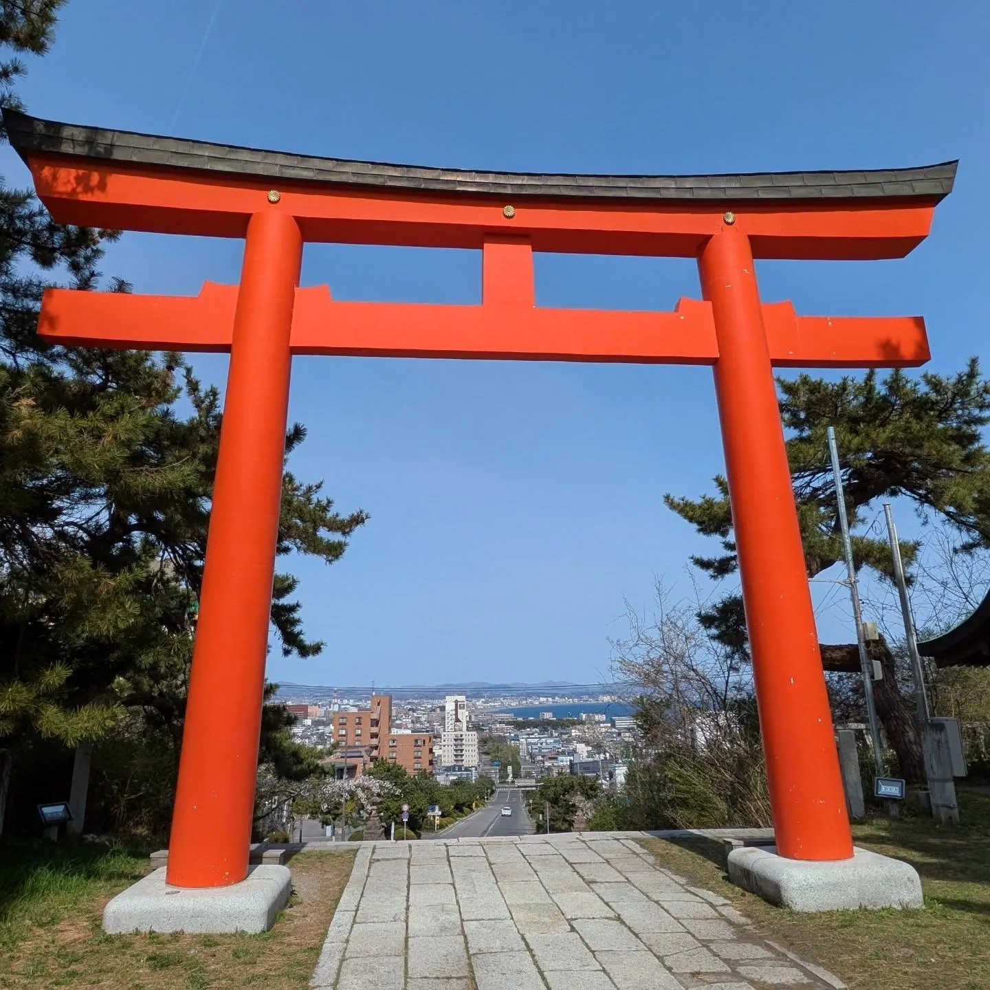 函館護國神社⛩️参拝