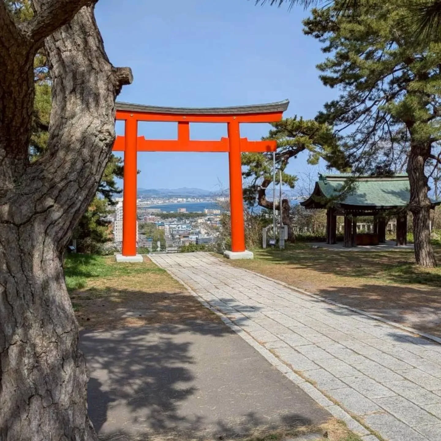函館護國神社⛩️参拝