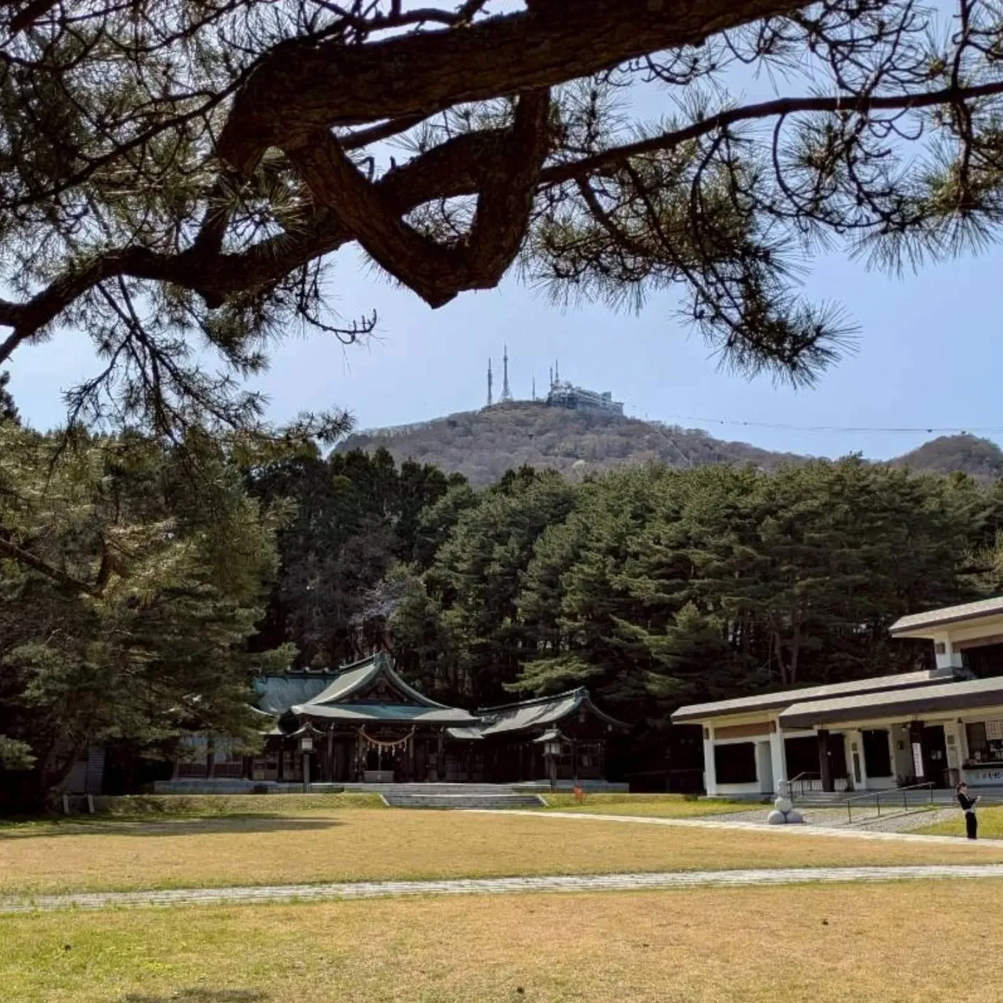 函館護國神社⛩️参拝