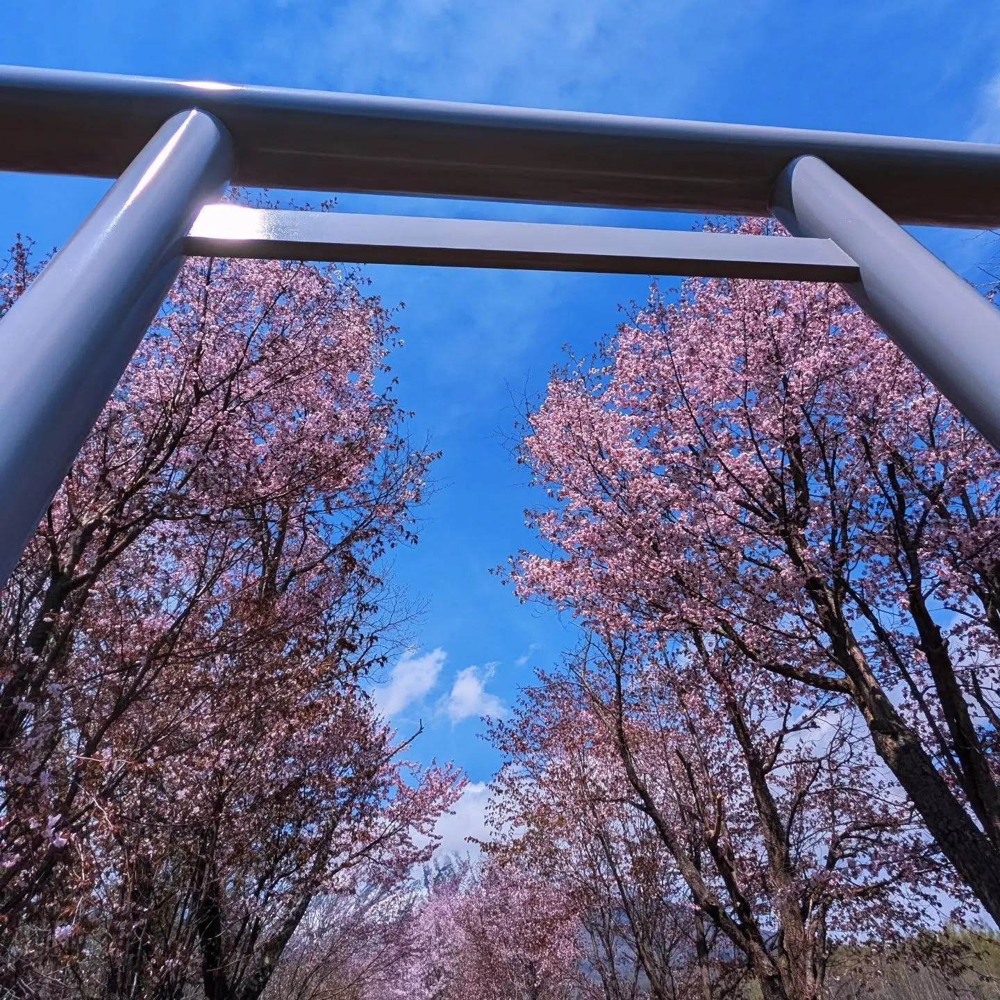 真狩神社⛩️参拝