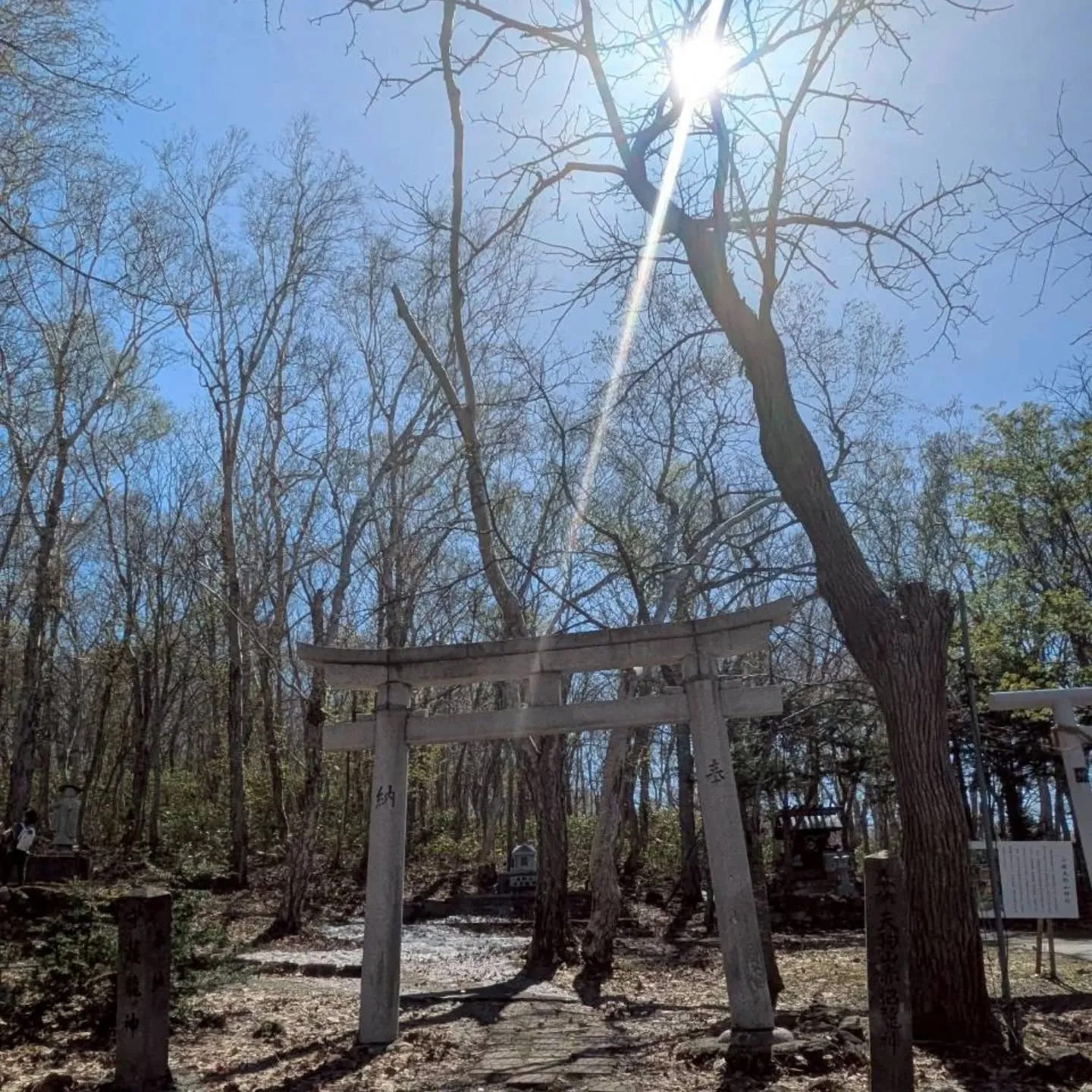 小樽天狗山神社　赤沼龍神　⛩️参拝