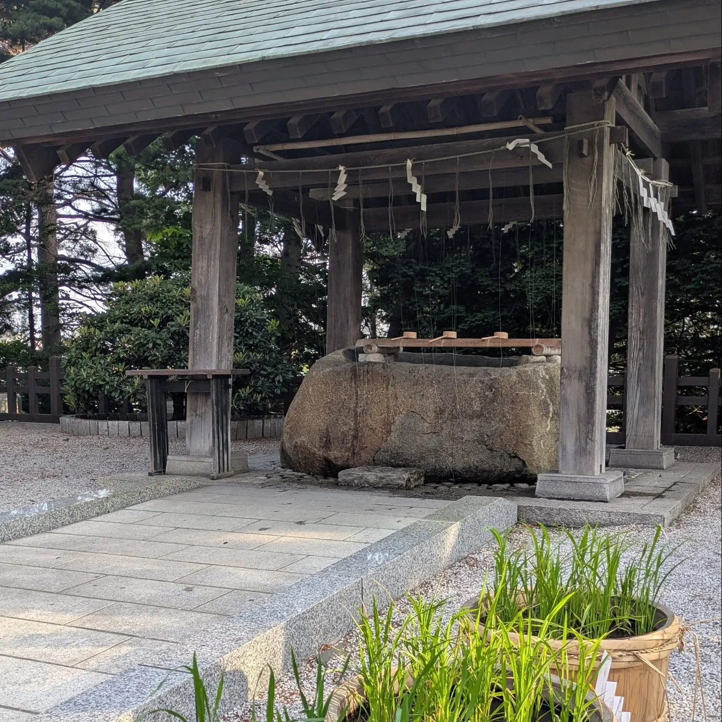 白石神社⛩️参拝