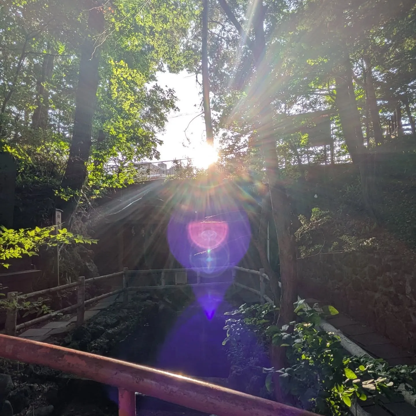 白石神社⛩️参拝